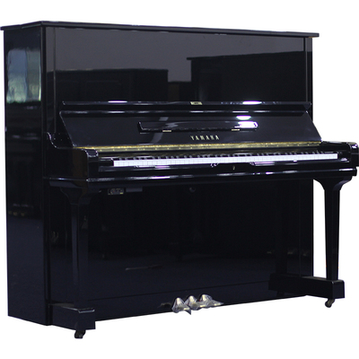 Schimmel  K132