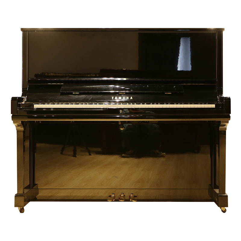 Schimmel  K132