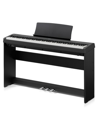 Schimmel  K132