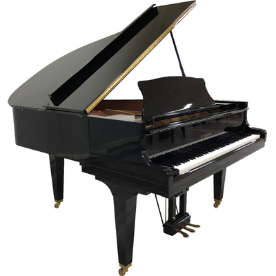 Schimmel  K132