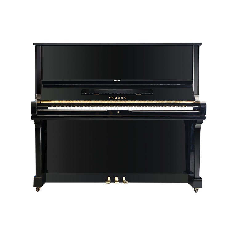 Schimmel  K132