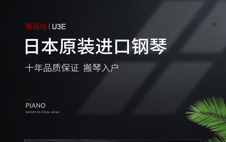 日本原装进口雅马哈U3E(图1)