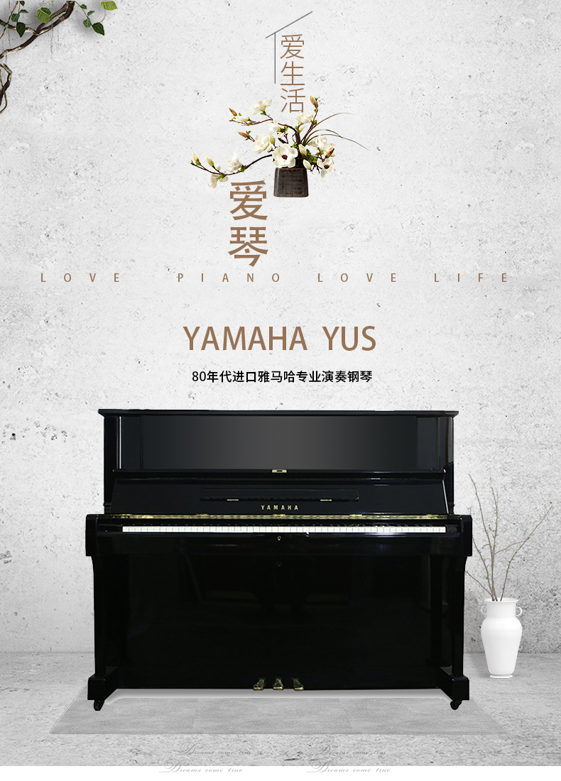 日本原装进口YAMAHA  YUS(图1)