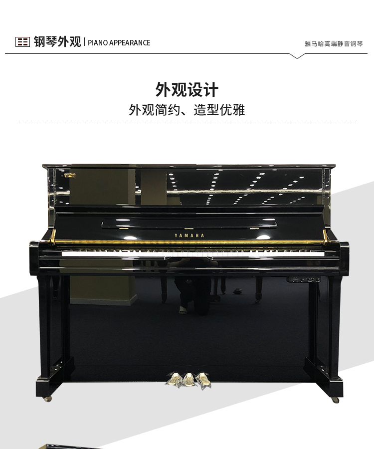 日本原装进口雅马哈YS10Z(图2)
