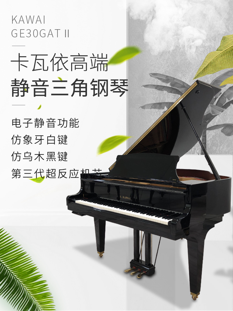 日本原装进口卡瓦依GE30GATⅡ(图1)