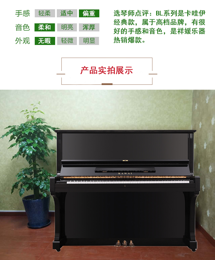 日本原装进口卡瓦依KAWAIBL31(图2)